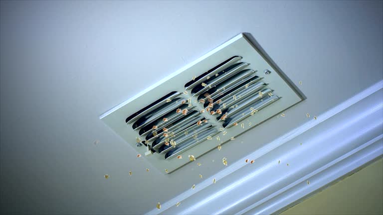 Best Affordable Air Duct Cleaning  in West Salem, OH